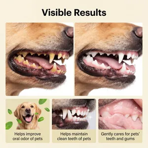 Detailed comparison of pet dental cleaning results and healthy gum care benefits for dogs