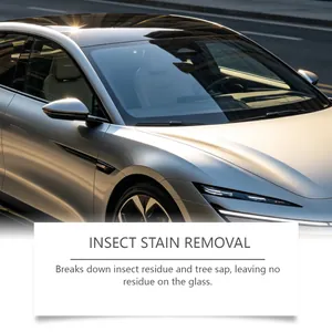 Limpiador de cristales de coche para eliminar restos de insectos en el parabrisas