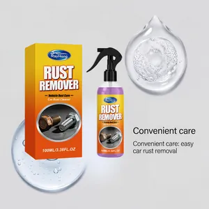 Panoramica dello spray antiruggine RayHong per auto con confezione da 100ml