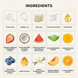 Elenco completo degli ingredienti naturali per il balsamo labbra idratante Zephoco ai frutti