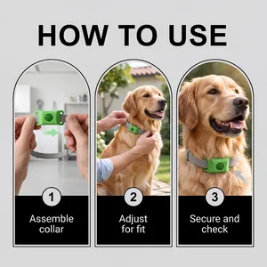 Guide étape par étape montrant comment utiliser le collier antiparasitaire vert