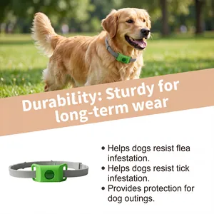 Vue détaillée d'un collier anti-puces et tiques vert pour chien, protection durable