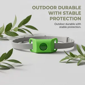 Détail du dispositif vert anti-puces et tiques sur collier pour chien