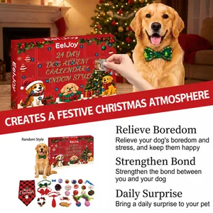Calendario dell'avvento di Natale per cani 24 giorni con vari giocattoli e regali box
