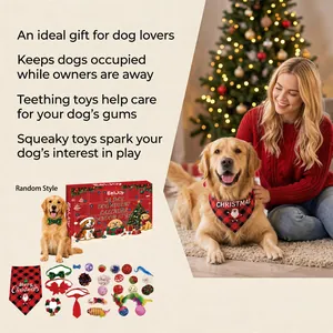 Calendario dell'Avvento per cani di 24 giorni con vari giocattoli e bandana