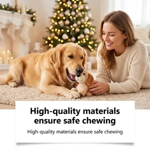 Golden Retriever mastica un peluche sicuro dal calendario dell'Avvento per cani