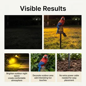 Detailed views of solar parrot garden light showing night illumination and installation
