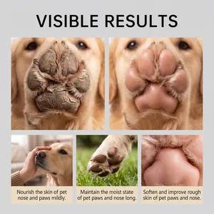 Résultats visibles du baume pour nourrir les pattes et la truffe sèches des chiens