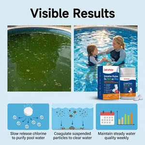 Detaillierte Infografik mit Vorher-Nachher-Ergebnissen der Poolreinigung mit Chlor