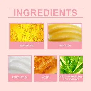 Elenco dettagliato degli ingredienti per il balsamo labbra nutriente al miele e aloe.