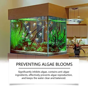 Clean aquarium showing clear water after using algae remover with fish and plants