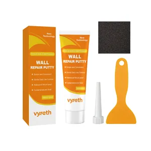 Kit stucco riparazione pareti vyreth 100g con raschietto ugello e carta vetrata