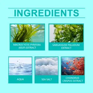 Detaillierte Infografik mit natürlichen Inhaltsstoffen wie Kelp-Extrakt für Lockenspray