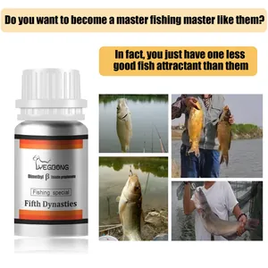 Attractif pour poissons efficace pour réussir sa pêche avec résultats de captures