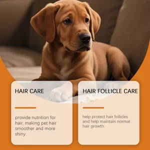 Detail showing benefits of pet vitamin chewable tablets for dog hair and follicle care