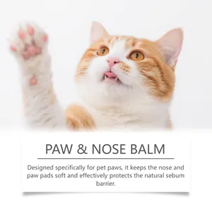 Gros plan d'un chat montrant ses pattes pour les détails du baume apaisant