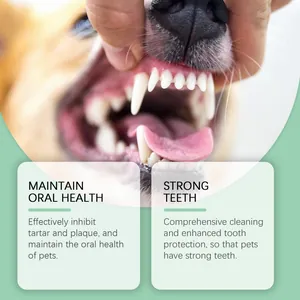 Close-up of healthy dog teeth and gums showing the results of oral cleaning gel use