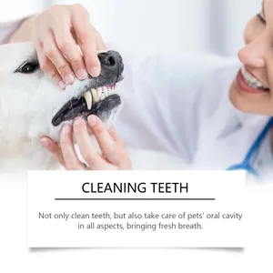 Macro view of professional pet oral care gel being applied for effective dog teeth cleaning.