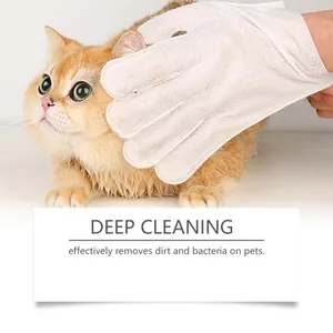 Nahaufnahme von Haustier-Reinigungshandschuh bei einer Katze für Hygiene