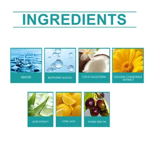 Detailed infographic showcasing the natural ingredients used in pet cleaning gloves