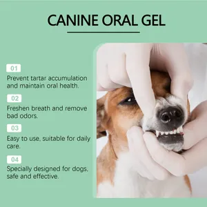 Professional application of pet oral care cleaning gel for canine dental health features