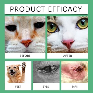 Efficacité des gants de nettoyage pour animaux avec résultats avant et après sur chat
