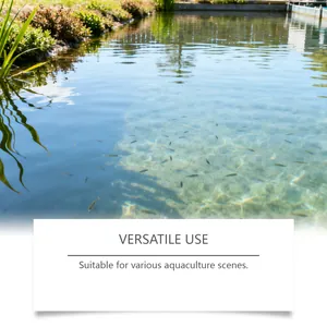 Clear aquaculture pond water showing healthy fish in a natural outdoor environment.