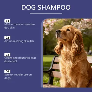 Detaillierte Vorteile von mildem Hundeshampoo mit einem Golden Retriever im Park