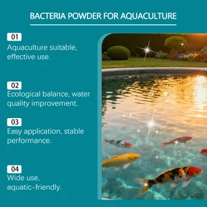 Detaillierte Vorteile von Bakterienpulver für die Wasserqualität in Teichen
