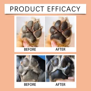 Comparaison de l'efficacité du baume pour pattes de chien avant et après