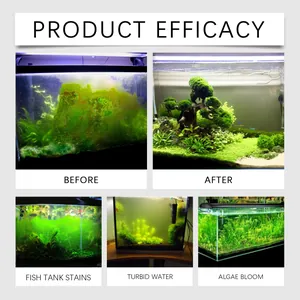 Aquarium algaecide efficacy showing before and after cleaning of cloudy fish tank water