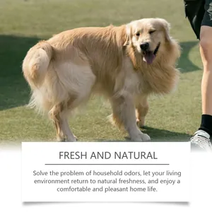 Happy golden retriever on grass illustrating a fresh and natural household environment.