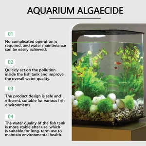 Infographic detail showing benefits of aquarium algaecide for clear fish tank water
