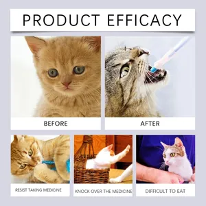 Infographic of a cat feeding dispenser showing effective medicine delivery for pets