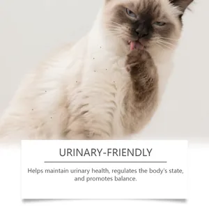 Cute cat cleaning its paw for urinary-friendly feline health and body balance care