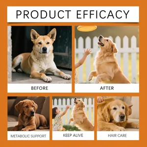 Visual efficacy showing pet metabolic support, hair care, and before-after results