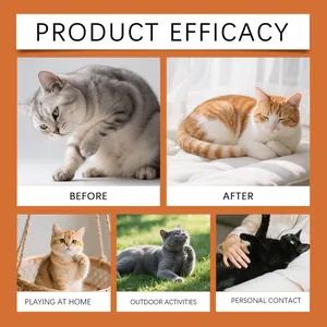 Infographic showing cat body care efficacy and usage scenes like playing and contact