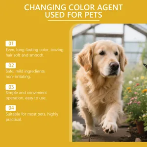 Vista detallada de los resultados del tinte para mascotas en pelaje de Golden Retriever