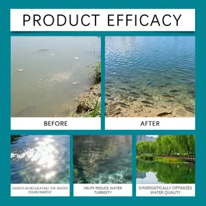 Visueller Vergleich der Wasserqualität in der Aquakultur vor und nach der Behandlung