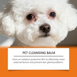 Detail showing a white dog with tear stains for pet tear stain cleansing balm application.
