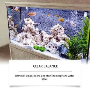 Detailed view of a clean fish tank with clear water and vibrant fish