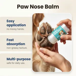 Primo piano dell'applicazione del balsamo non grasso sulle zampe secche del cane.