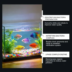 Detail view of aquarium cleaner functions: nitrifying bacteria and enzymes for water quality