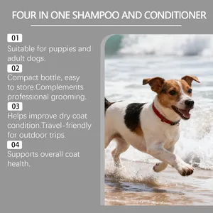 Ventajas del champú y acondicionador para perros 4 en 1 con perro corriendo en playa
