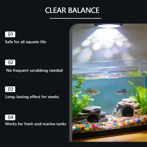 Crystal clear aquarium with fish and plants highlighting professional cleaner maintenance