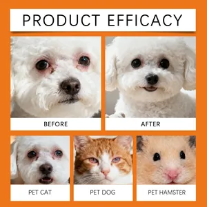 Comparison of dog tear stain remover results before and after treatment for pet eye care