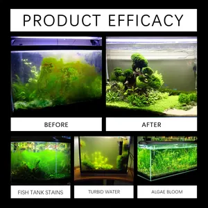Before and after comparison of aquarium cleaner efficacy for algae and turbid water.