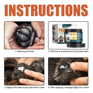 Four-step visual instructions on applying protective pet paw balm to cat and dog paws.