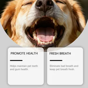 Detail shot of healthy dog teeth and gums highlighting pet oral spray effectiveness