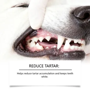 Close-up macro view of clean dog teeth with English text describing tartar reduction benefits.